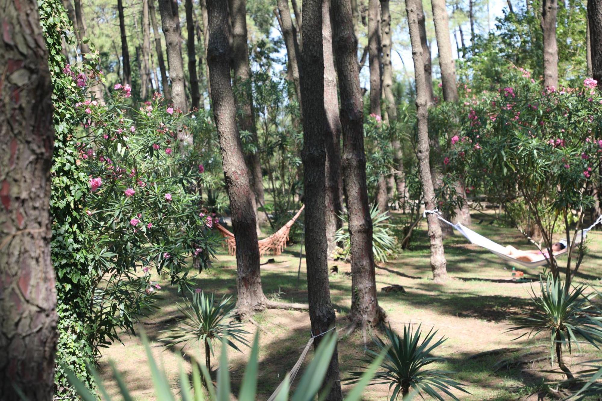 Andamati Beach Resort Grigoleti Esterno foto