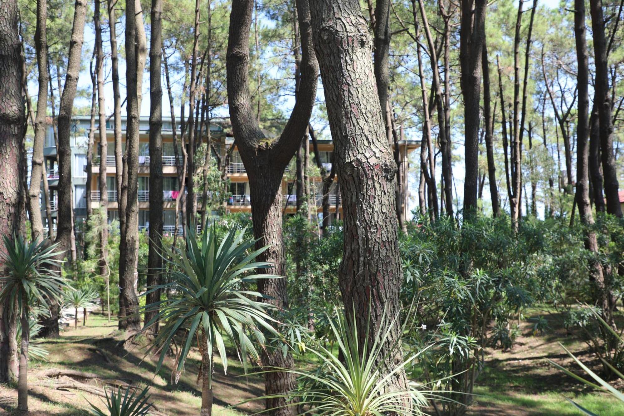 Andamati Beach Resort Grigoleti Esterno foto